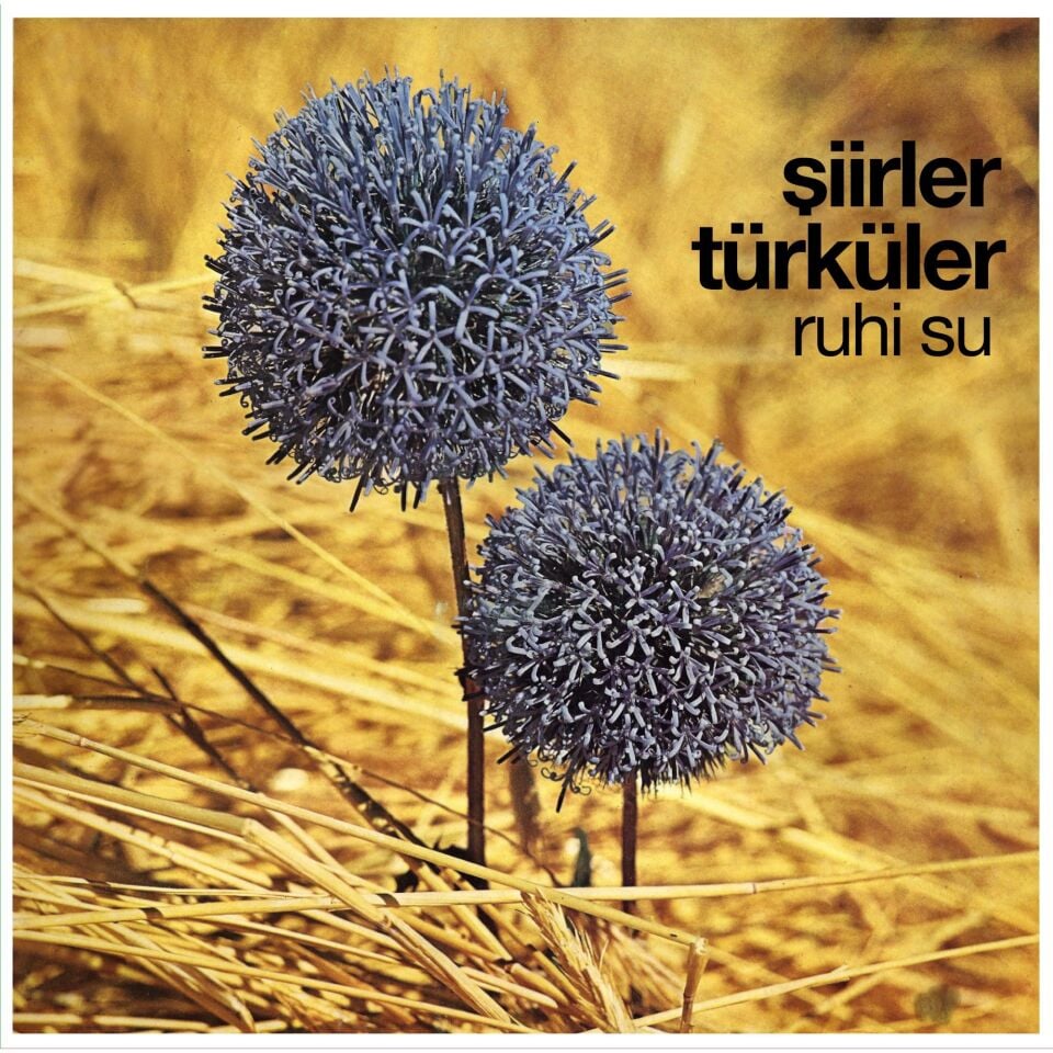 Ruhi Su Şiirler ve Türküler - Plak