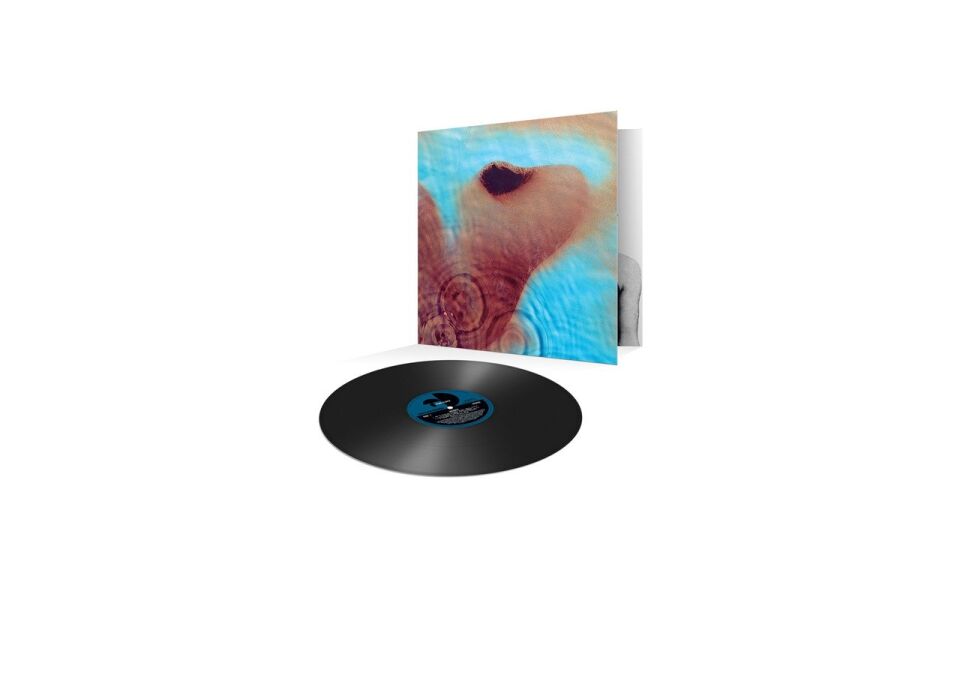 Pink Floyd Meddle (Remastered) - Plak