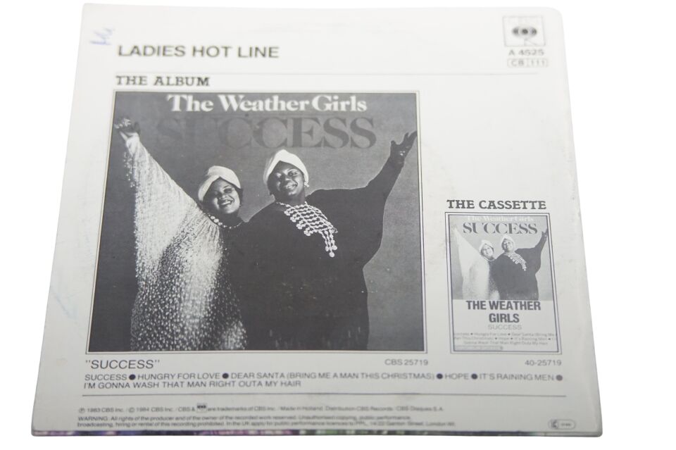The Weather Girls I'm Gonna Wash That Man Right Outa My Hair / Ladies Hot Line - Plak