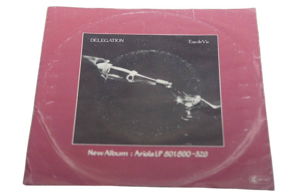 Delegation Put A Little Love On Me / You And I - Plak