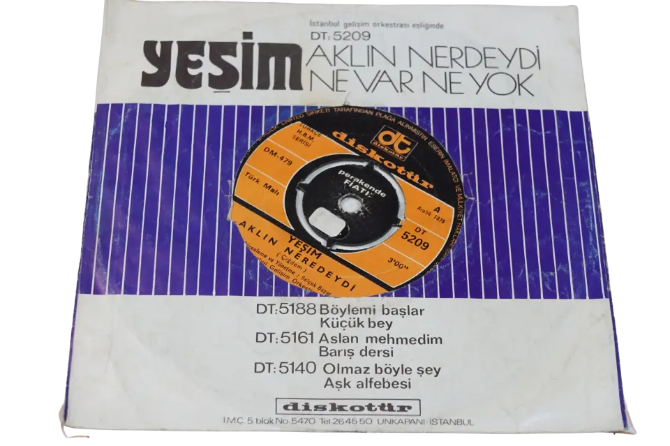 Yeşim Aklın Neredeydi / Ne Var Ne Yok - Plak