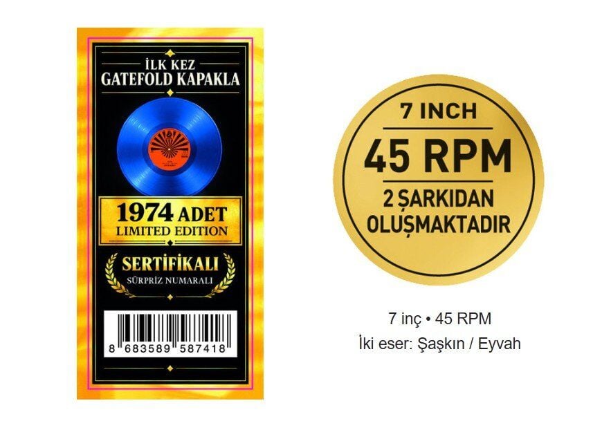 Erkin Koray Şaşkın / Eyvah Sınırlı Baskı - Mavi Plak