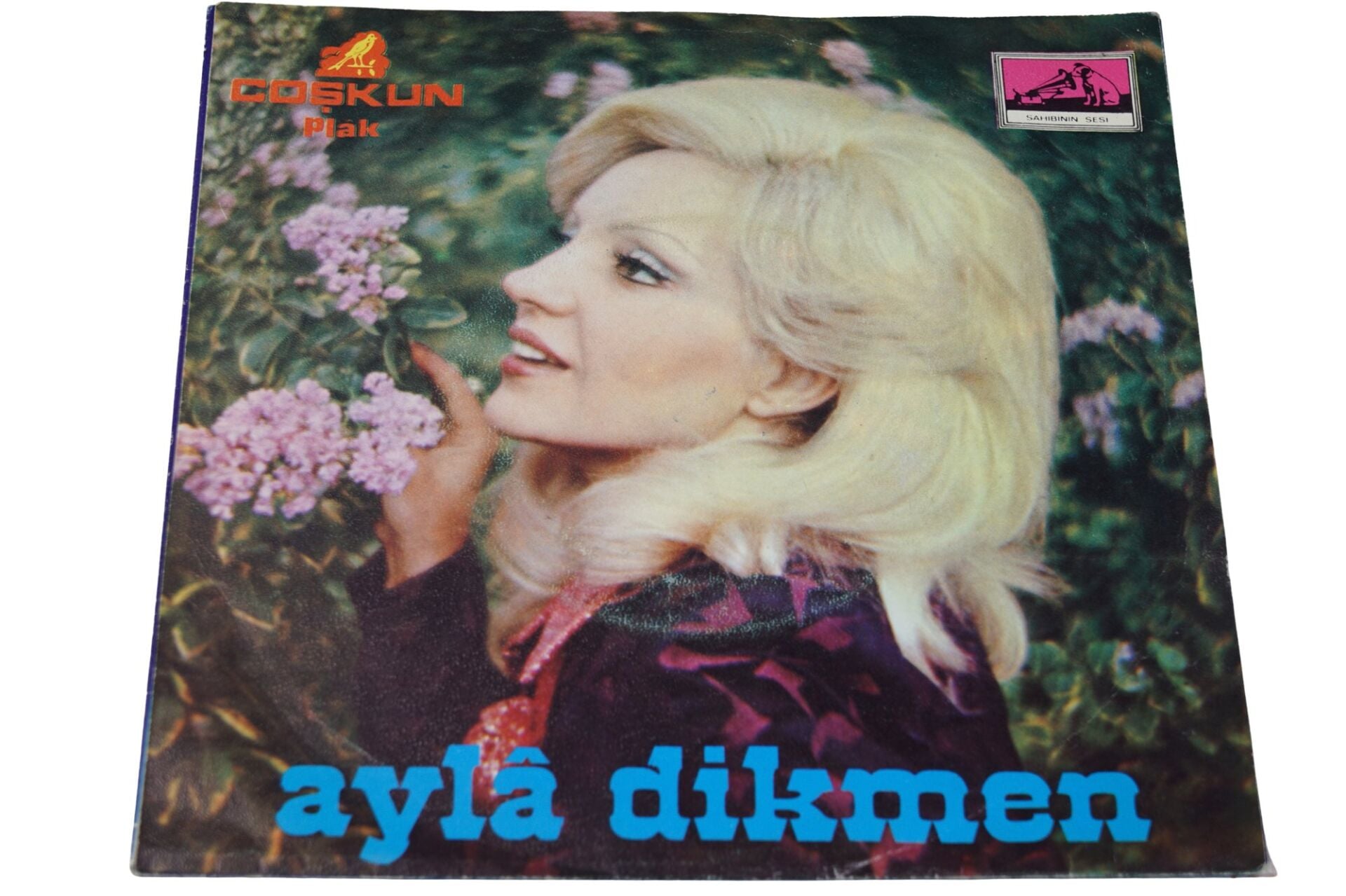 Ayla Dikmen Yolcu Yolunda Gerek / Kalbime Kanımla Yazdım Adını - Plak