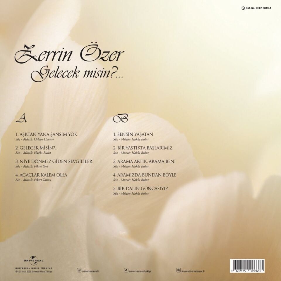 Zerrin Özer Gelecek Misin - Plak