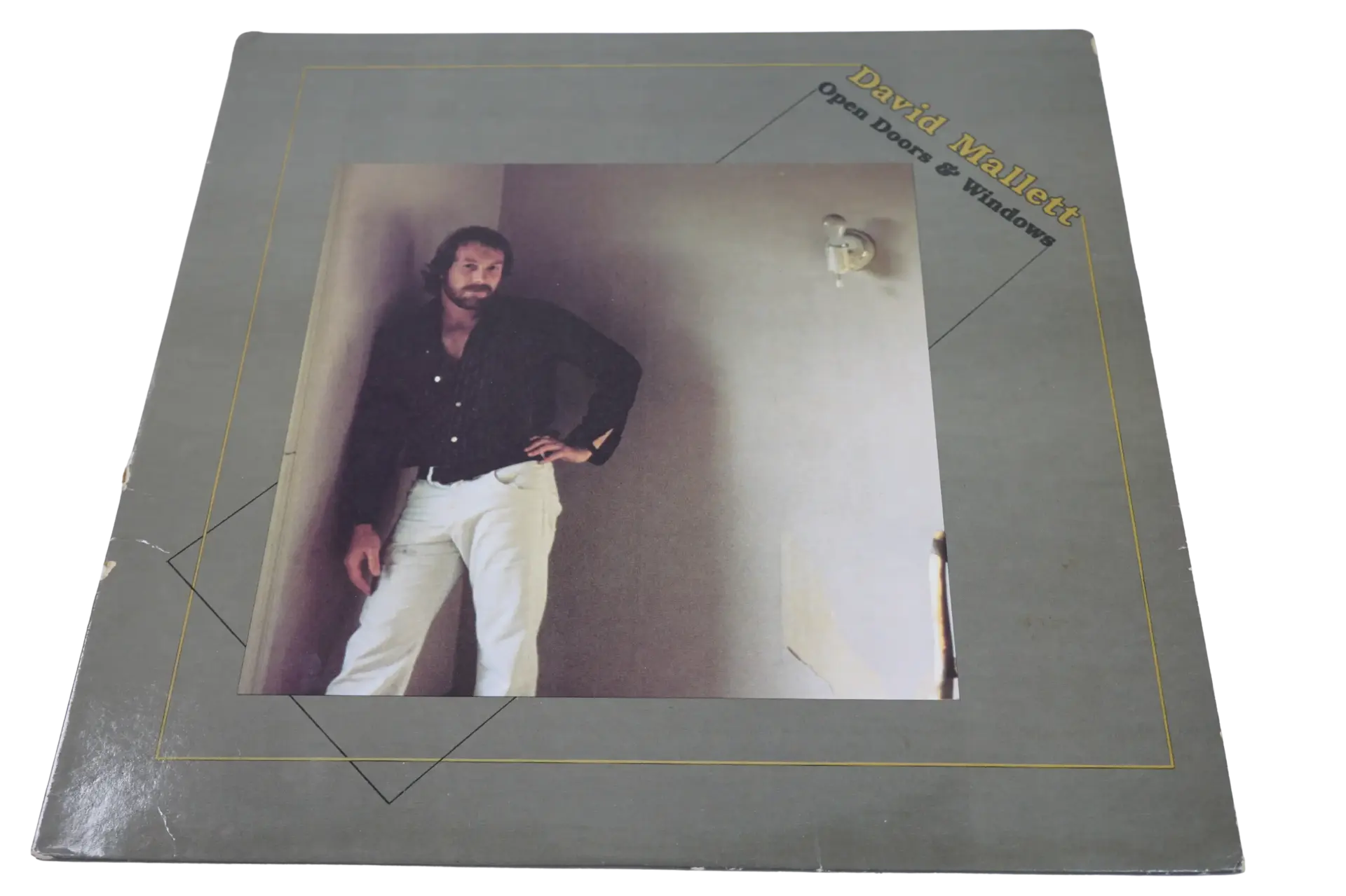 David Mallett Open Doors And Windows - Plak