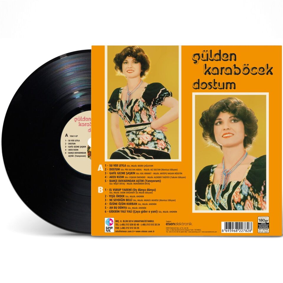 Gülden Karaböcek Dostum - Plak
