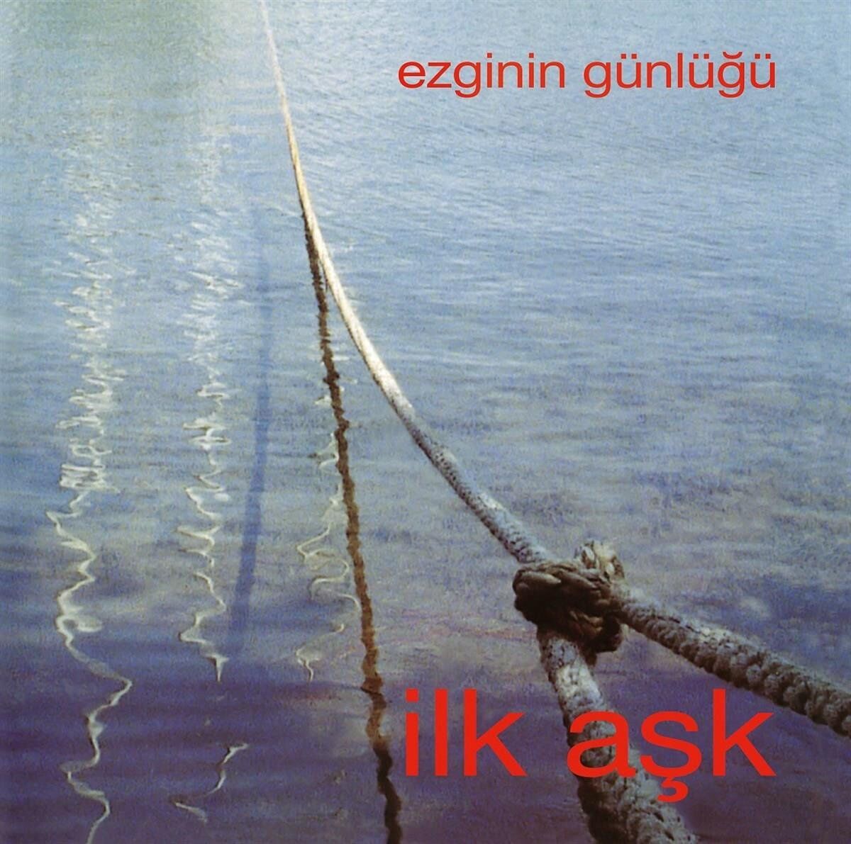 Ezginin Günlüğü İlk Aşk - Plak