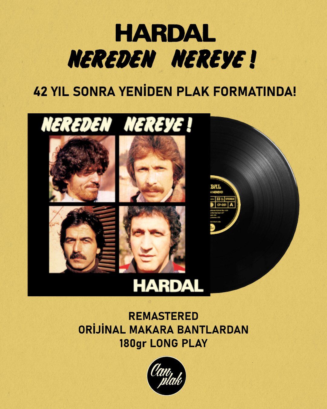 Hardal Nereden Nereye - Plak