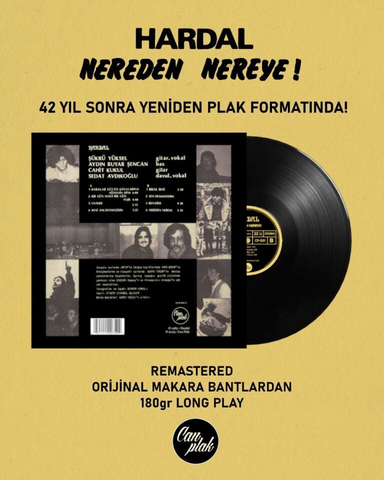 Hardal Nereden Nereye - Plak