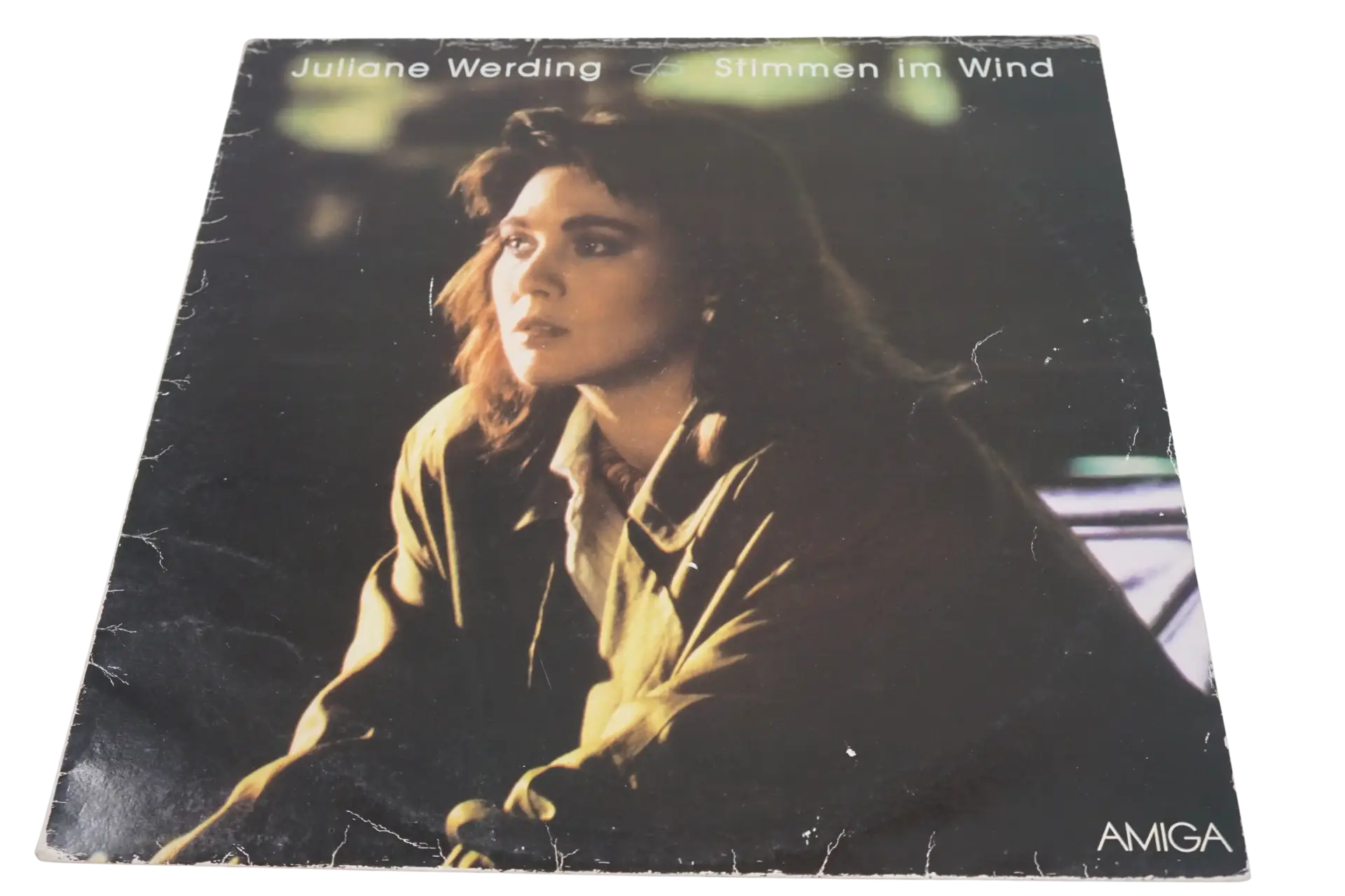 Juliane Werding Stimmen Im Wind - Plak