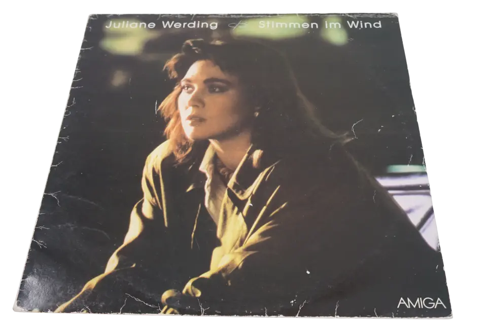 Juliane Werding Stimmen Im Wind - Plak