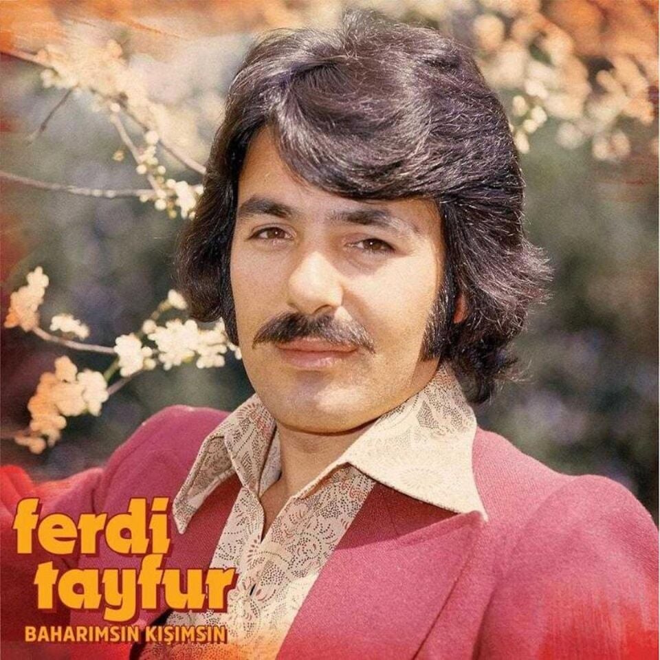 Ferdi Tayfur Baharımsın Kışımsın - Plak