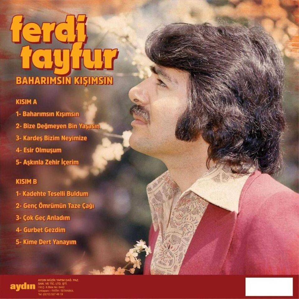 Ferdi Tayfur Baharımsın Kışımsın - Plak
