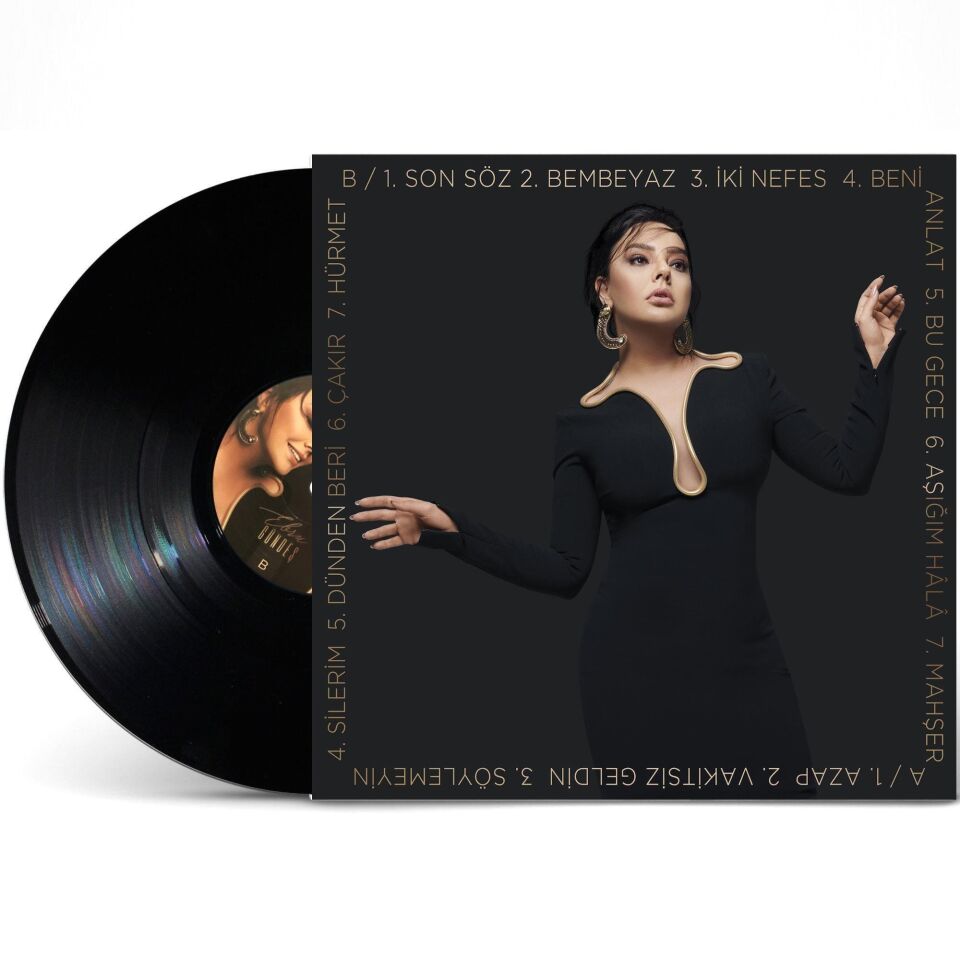 Ebru Gündeş Aşığım Hâlâ - Limited Edition Plak