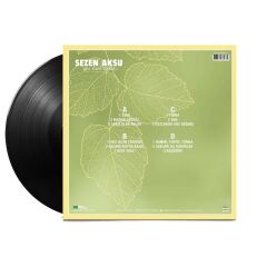 Sezen Aksu Deli Kızın Türküsün - Plak