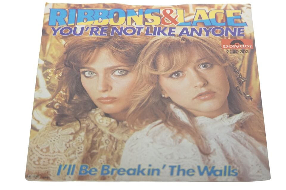 Ribbons & Lace You're Not Like Anyone - Plak
