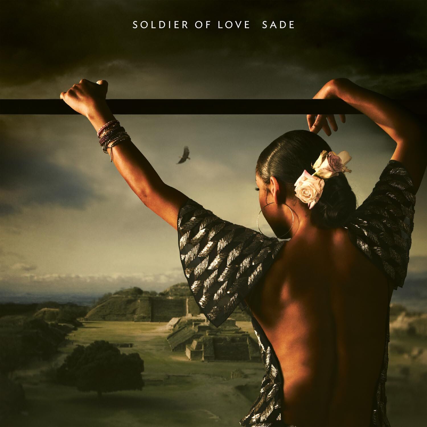 Sade Soldier Of Love - Plak