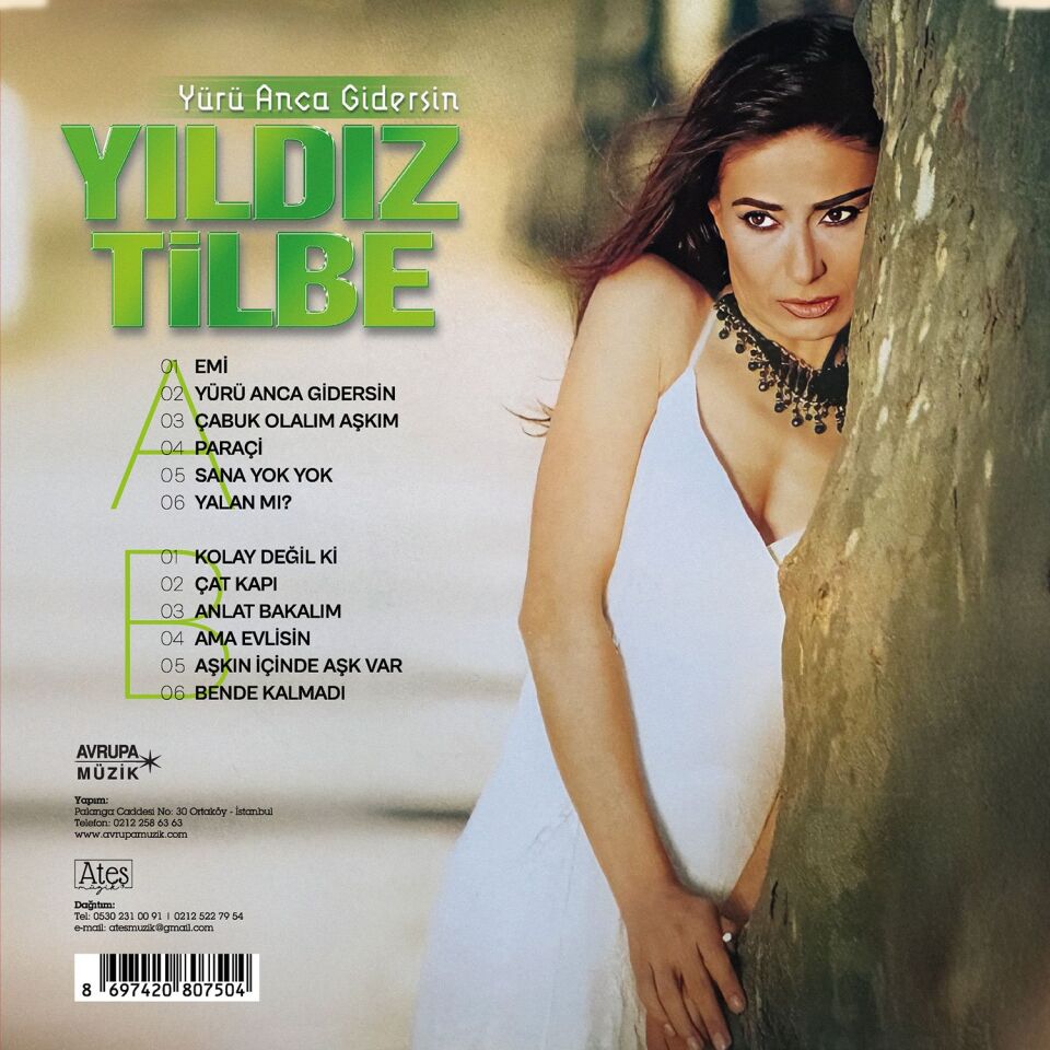 Yıldız Tilbe Yürü Anca Gidersin - Plak