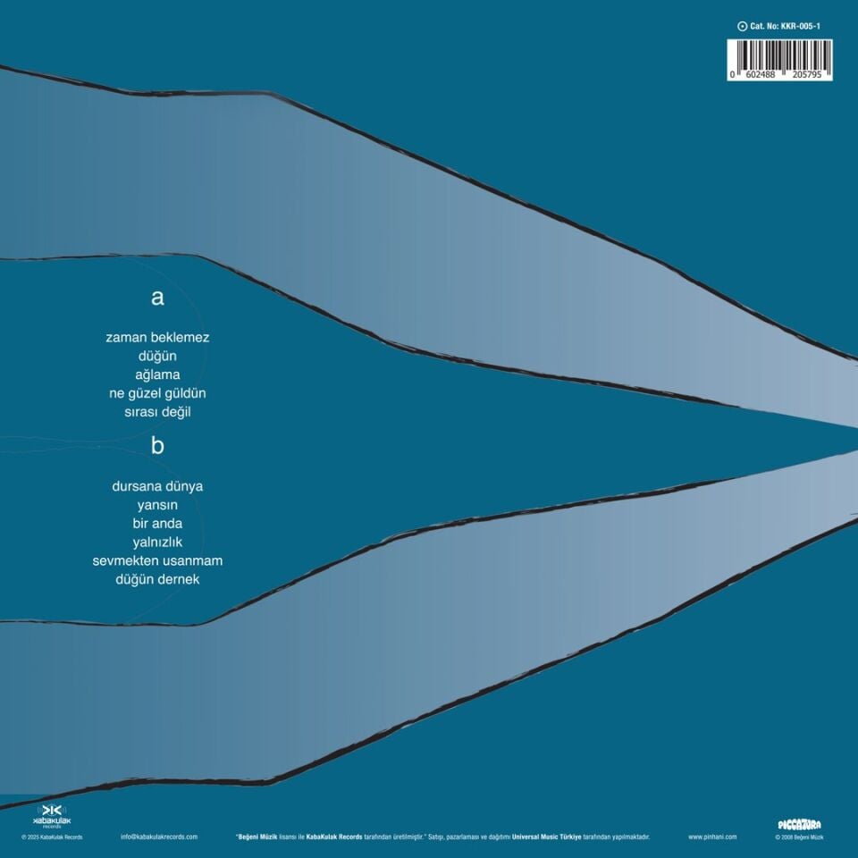 Pinhani Zaman Beklemez - Plak