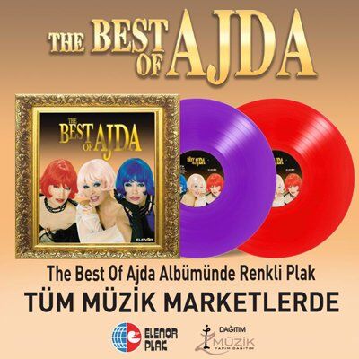 Ajda Pekkan The Best Of Ajda Renkli Plak - 2 Plak