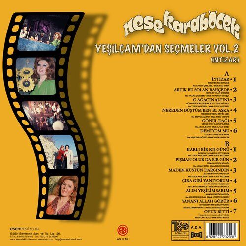 Neşe Karaböcek Yeşilçam'dan Seçmeler Vol.2 / İntizar - Plak