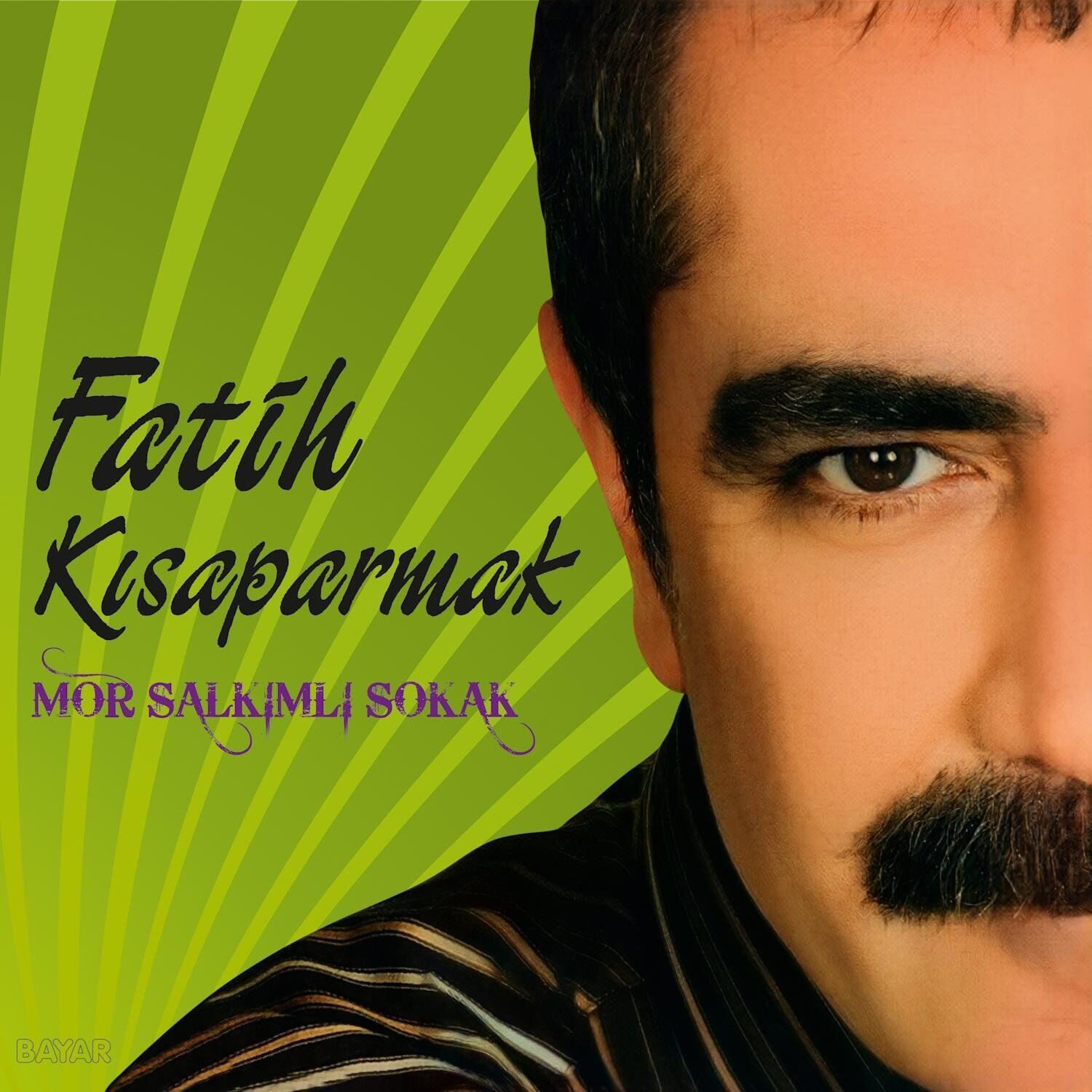 Fatih Kısaparmak Mor Salkımlı Sokak - Plak