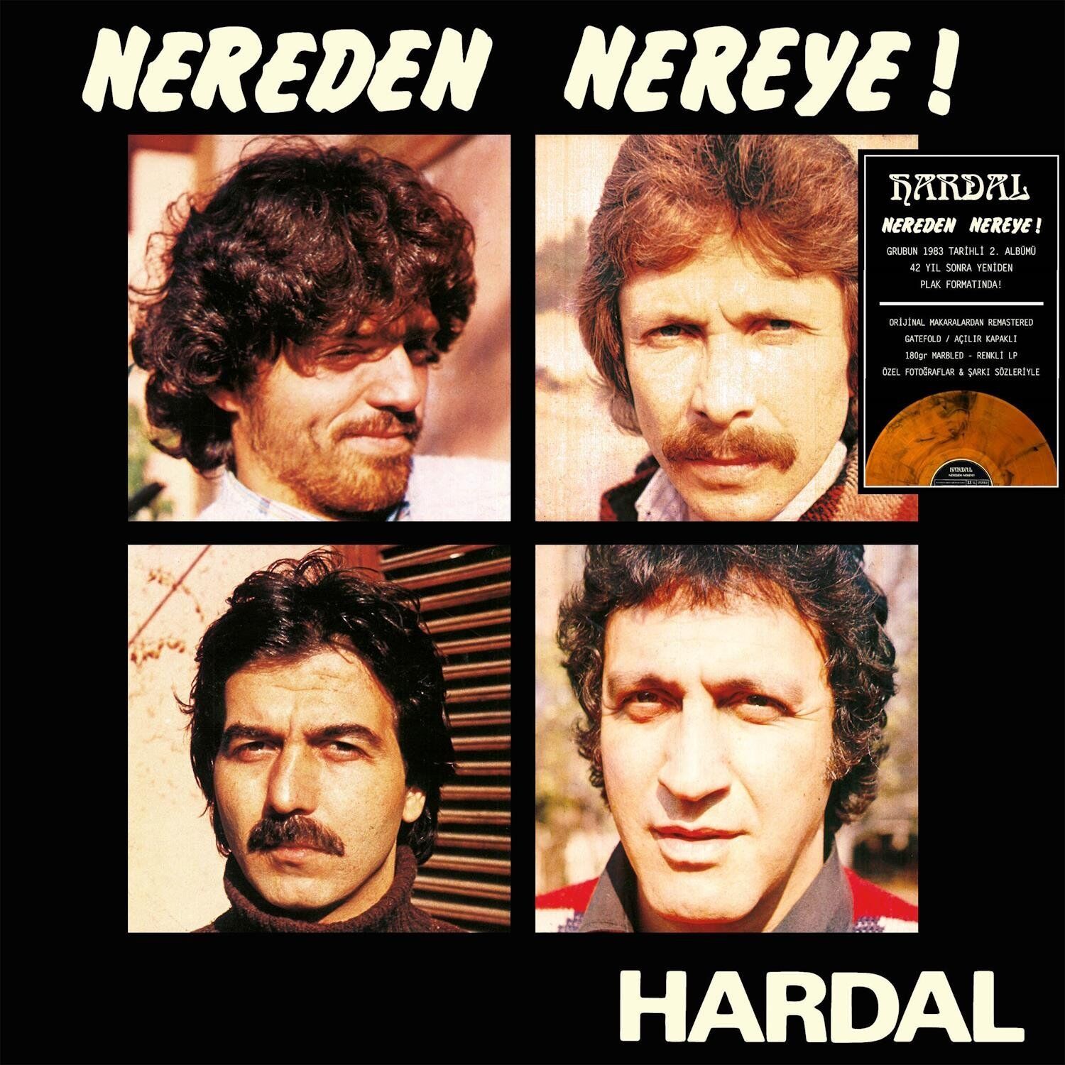 Hardal Nereden Nereye Renkli Baskı -  Plak