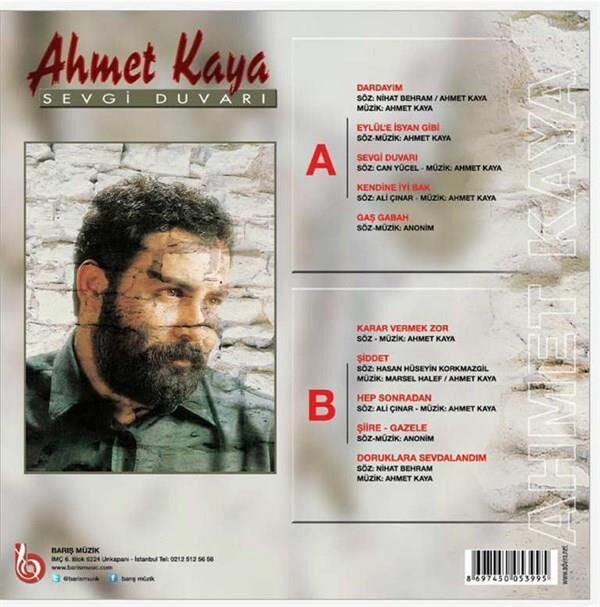 Ahmet Kaya Sevgi Duvarı - Plak