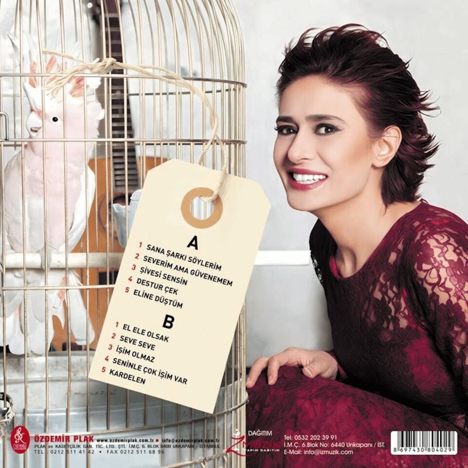 Yıldız Tilbe Şivesi Sensin Aşkın - Plak