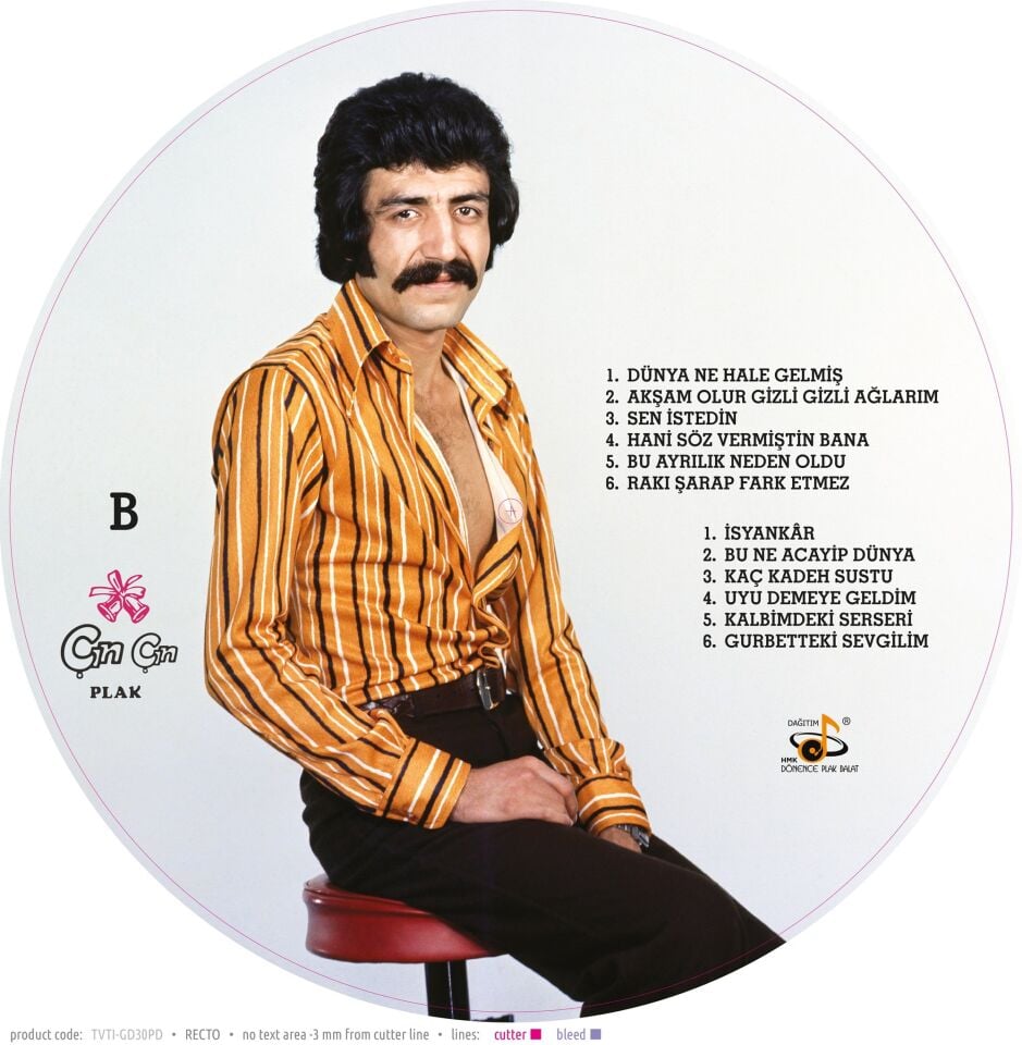 Müslüm Gürses Dünya Ne Hale Gelmiş - Picture Disk