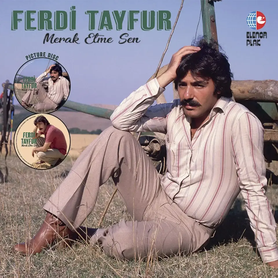 Ferdi Tayfur Merak Etme Sen - Picture Plak