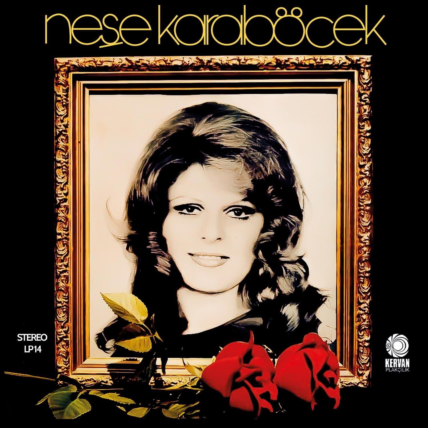 Neşe Karaböcek Ümidini Kirpiklerine - Plak