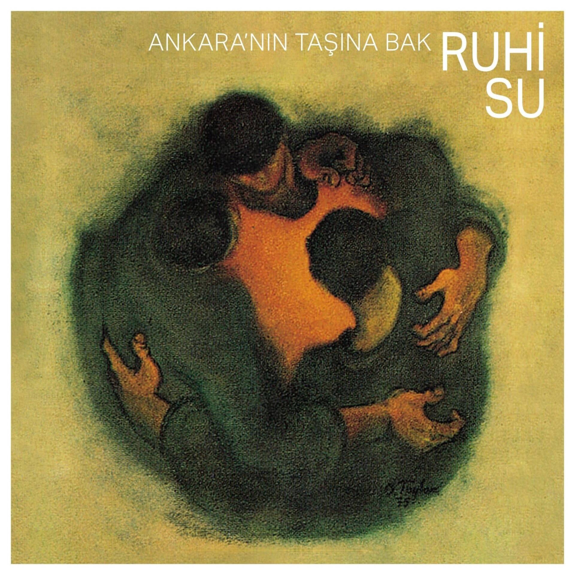 Ruhi Su Ankara'nın Taşına Bak - Plak
