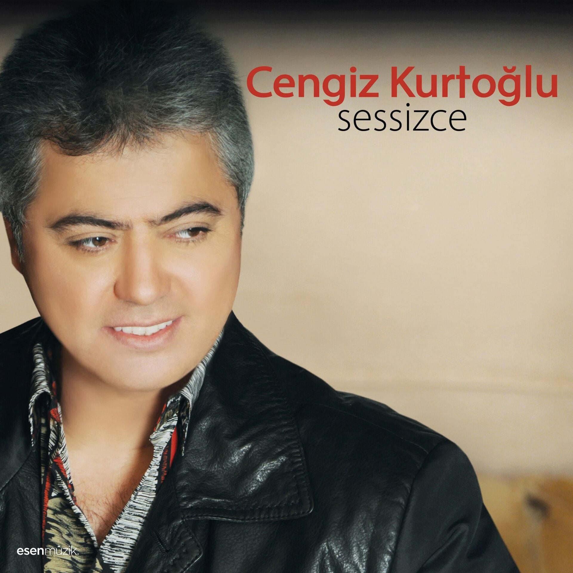 Cengiz Kurtoğlu Sessizce - Plak