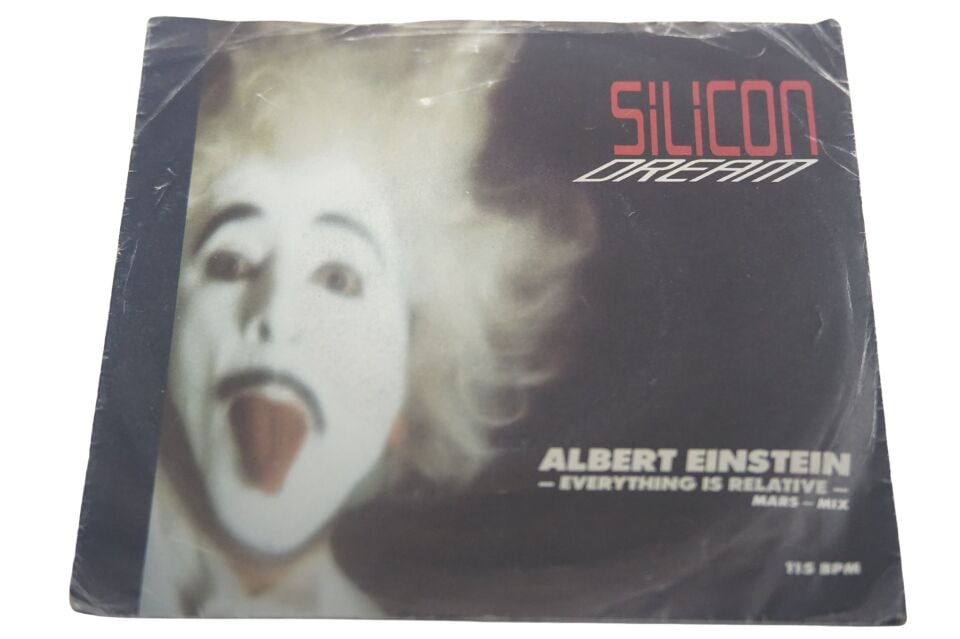 Silicon Dream Albert Einstein Everything Is Relative - Plak