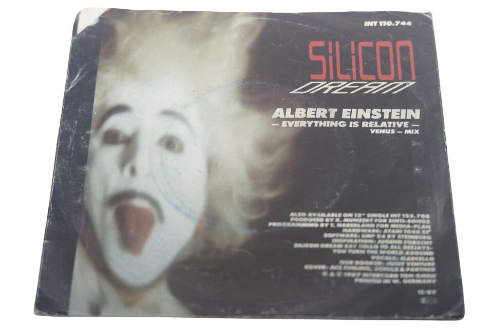 Silicon Dream Albert Einstein Everything Is Relative - Plak
