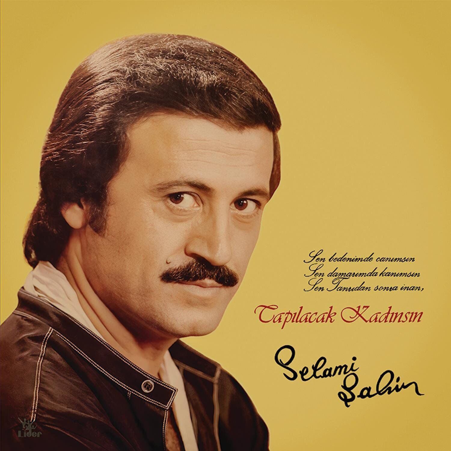 Selami Şahin Tapılacak Kadınsın - Plak