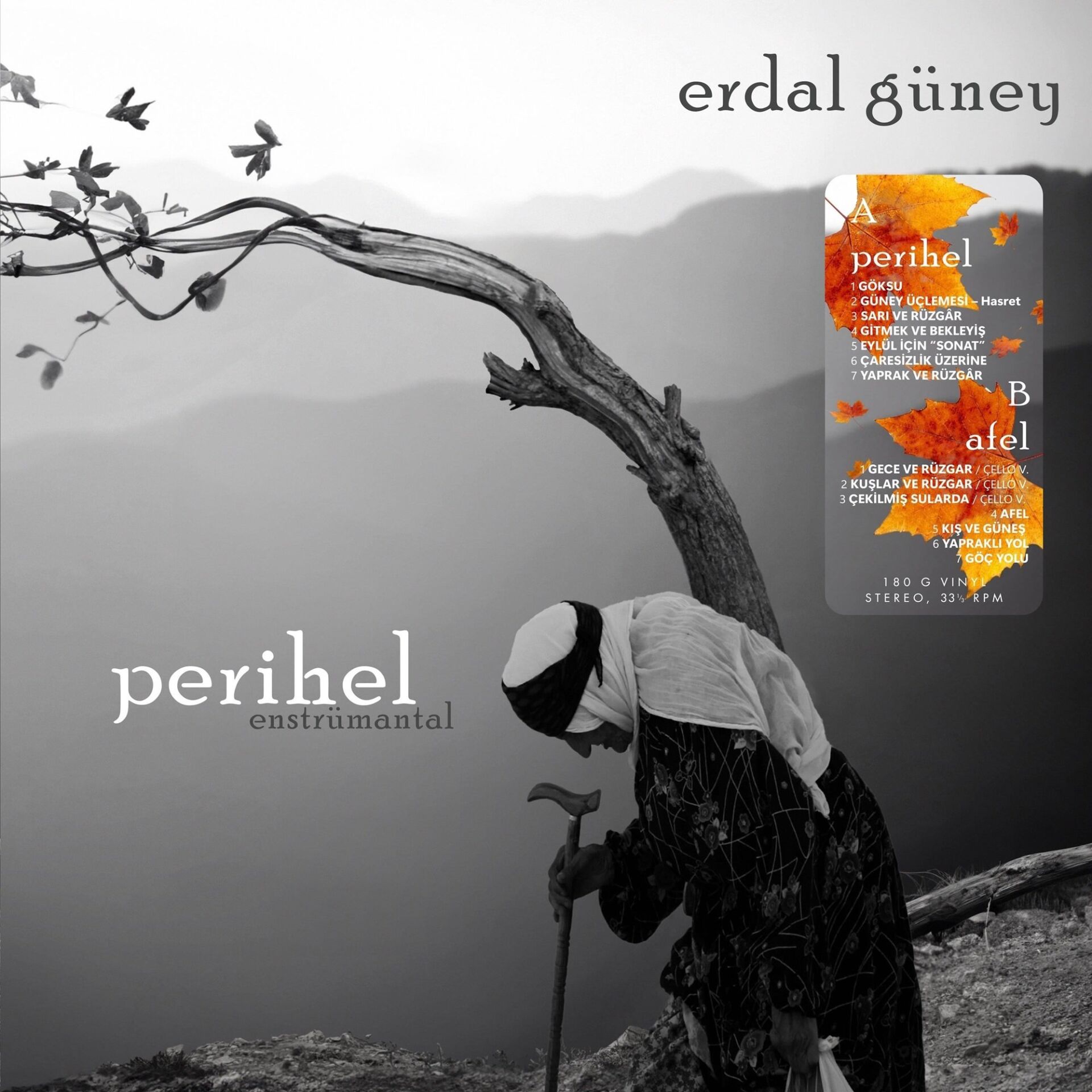 Erdal Güney Perihel-Afel (Enstrümantal) - Plak