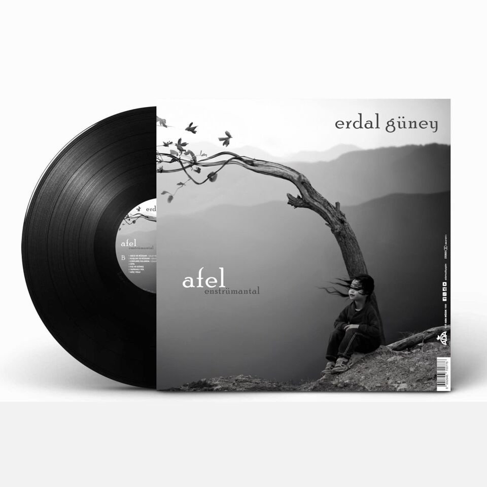 Erdal Güney Perihel-Afel (Enstrümantal) - Plak