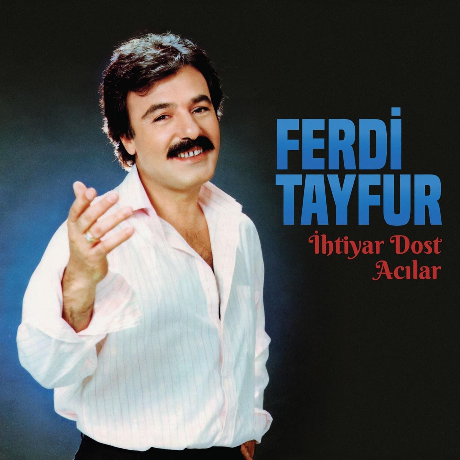 Ferdi Tayfur - İhtiyar Dost / Acılar - Plak