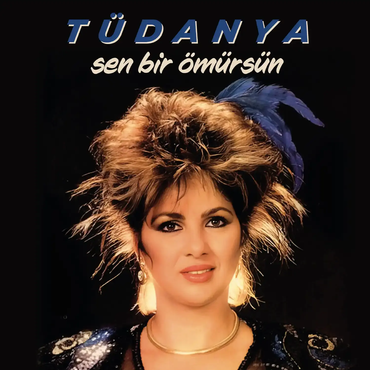 Tüdanya Sen Bir Ömürsün - Plak