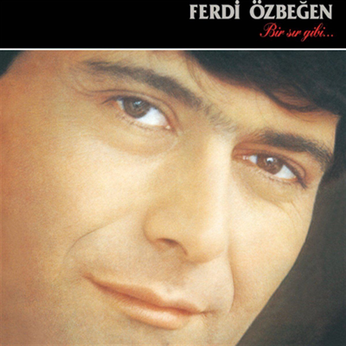 Ferdi Özbeğen Bir Sır Gibi - Plak