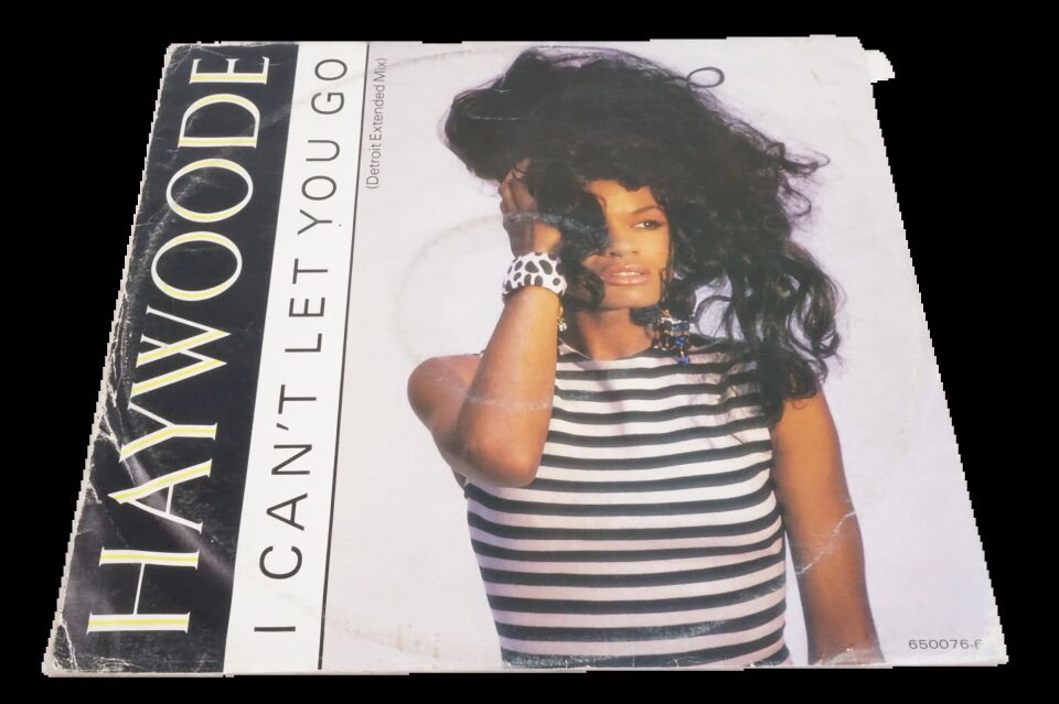 Haywoode I Can't Let You Go (Detroit Extended Mix) - Plak