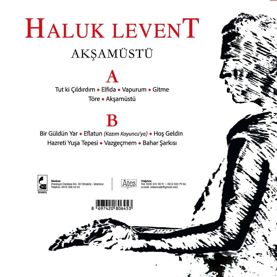 Haluk Levent Akşamüstü - Plak