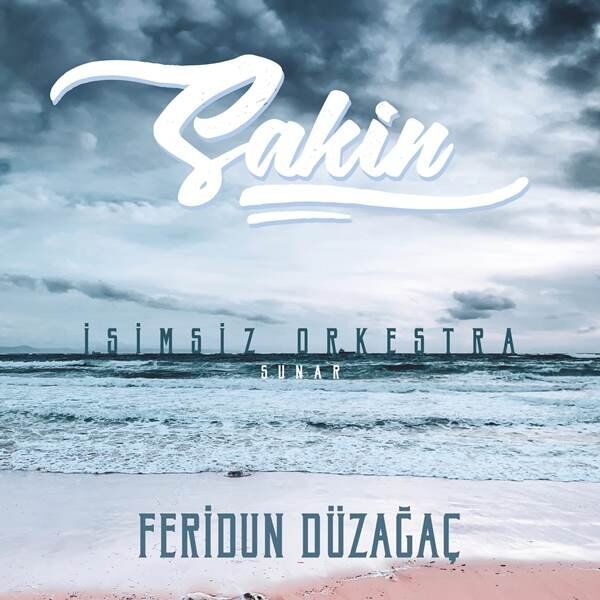 Feridun Düzağaç Sakin - Plak