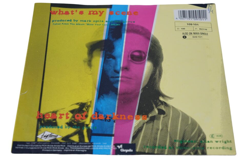 Hoodoo Gurus What's My Scene - Plak