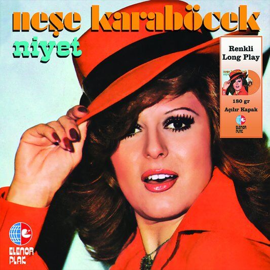 Neşe Karaböcek Niyet - Renkli Plak