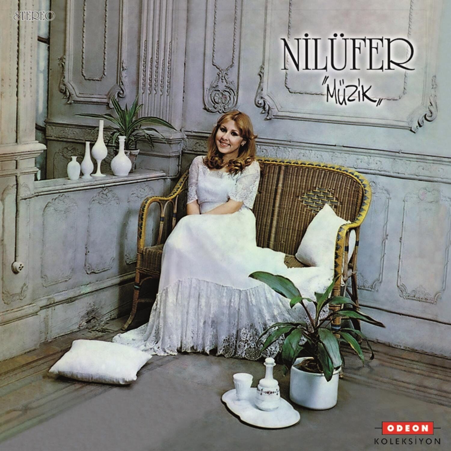 Nilüfer Müzik - Plak