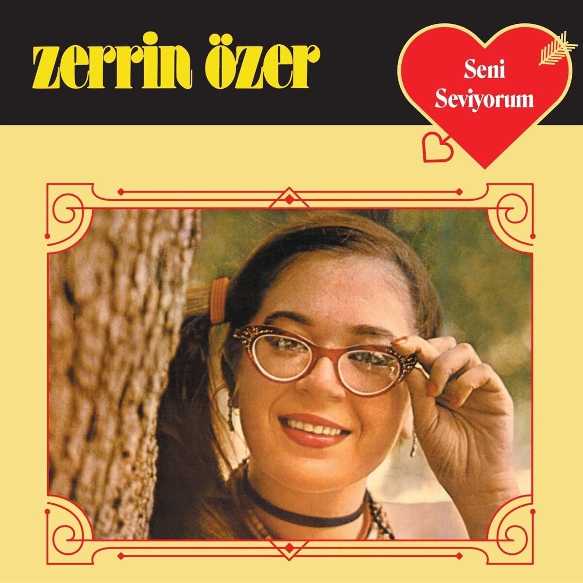 Zerrin Özer Seni Seviyorum - Plak