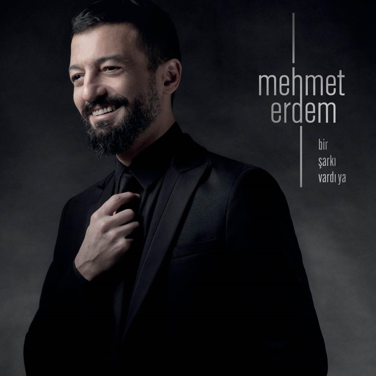 Mehmet Erdem Bir Şarkı Vardı Ya - Plak